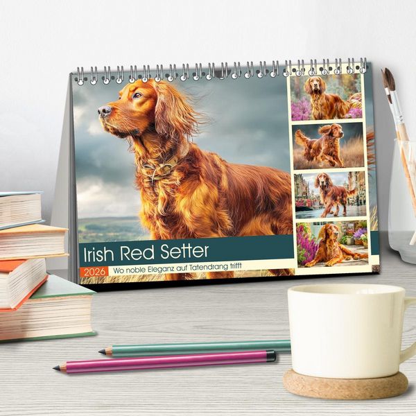 Produktbild: Irish Red Setter. Wo noble Eleganz auf Tatendrang trifft (Tischkalender 2026 DIN A5 quer), CALVENDO Monatskalender