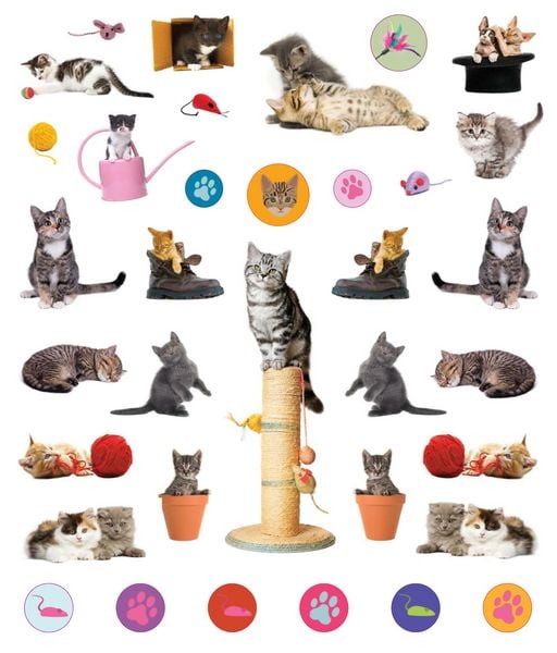 Produktbild: Eyelike Stickers: Kittens