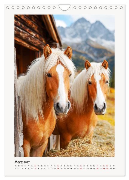 Produktbild: Berge und M&auml;hnen. Haflinger zwischen Alm, Sonne und Freiheit (Wandkalender 2027 DIN A4 hoch), CALVENDO Monatskalender