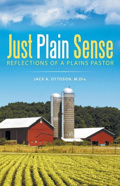 Produktbild: Just Plain Sense