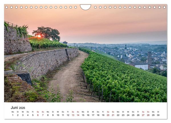 Produktbild: Rheingau 2026 (Wandkalender 2026 DIN A4 quer), CALVENDO Monatskalender