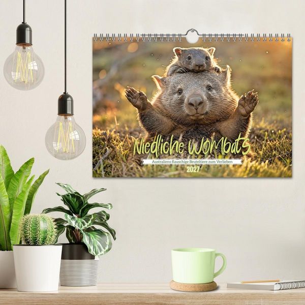 Produktbild: Niedliche Wombats - Australiens flauschige Beuteltiere zum Verlieben (Wandkalender 2027 DIN A4 quer), CALVENDO Monatskalender