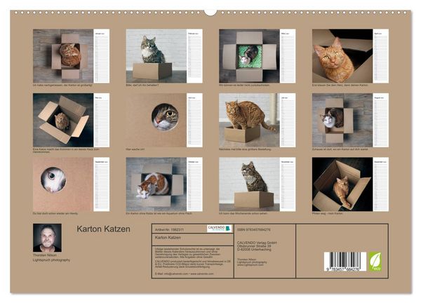 Produktbild: Karton Katzen (hochwertiger Premium Wandkalender 2026 DIN A2 quer), Kunstdruck in Hochglanz