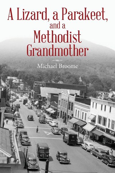 Produktbild: A Lizard, a Parakeet, and a Methodist Grandmother