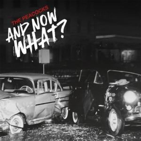 Produktbild: And Now What?(Digisleeve)