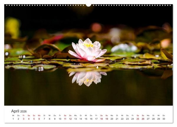 Produktbild: ZEN - Eine Reise zu sich selbst (hochwertiger Premium Wandkalender 2026 DIN A2 quer), Kunstdruck in Hochglanz