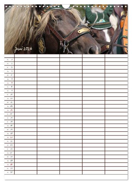 Produktbild: Der Kaltblut-Familienplaner (Wandkalender 2026 DIN A3 hoch), CALVENDO Monatskalender