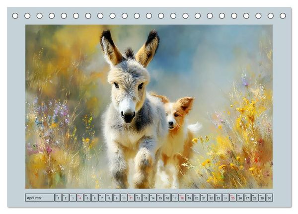 Produktbild: Zwergesel. Kleine Langohren mit gro&szlig;em Charme (Tischkalender 2027 DIN A5 quer), CALVENDO Monatskalender
