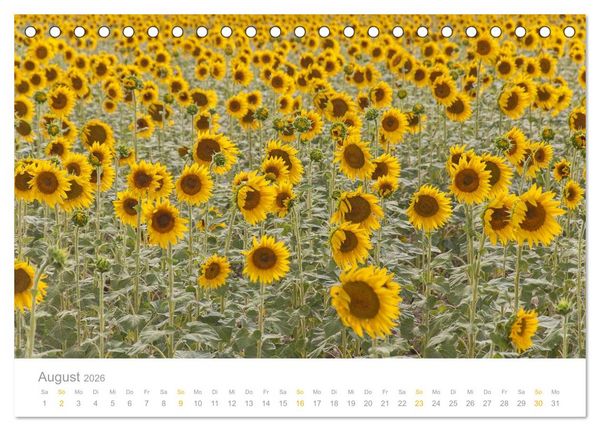 Produktbild: Provence: Malerisches S&uuml;dfrankreich (Tischkalender 2026 DIN A5 quer), CALVENDO Monatskalender
