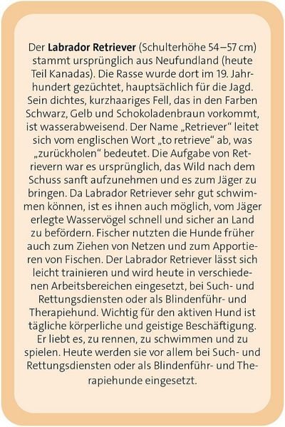 Produktbild: Das gro&szlig;e Hunde Quiz