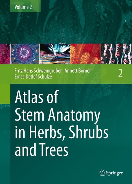 Produktbild: Atlas of Stem Anatomy in Herbs, Shrubs and Trees