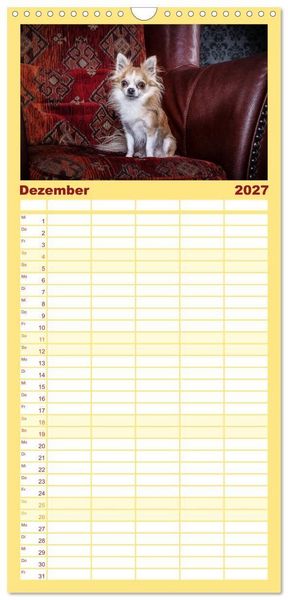 Produktbild: Familienplaner 2027 - Chihuahuas - Cool and Cute mit 5 Spalten (Wandkalender, 21 x 45 cm) CALVENDO