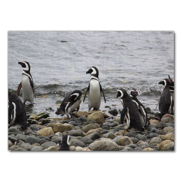 Produktbild: Lais Puzzle Pinguine 1000 Teile