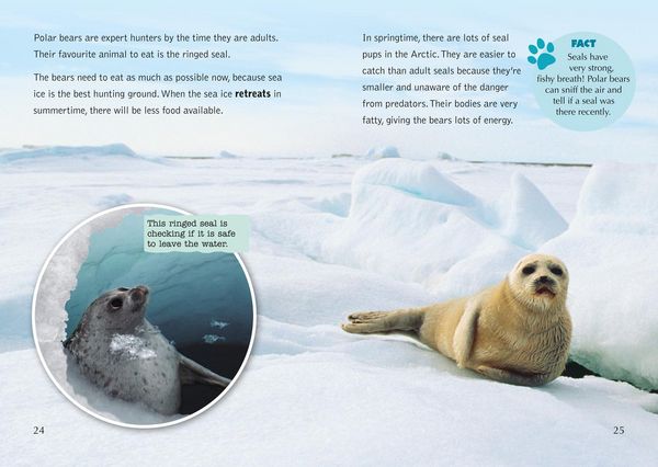 Produktbild: Collins Big Cat - The Life Cycle of a Polar Bear