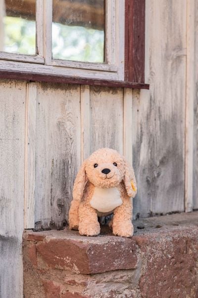 Produktbild: Steiff 067075 - Berno Goldendoodle, beige, Pl&uuml;sch, 36 cm