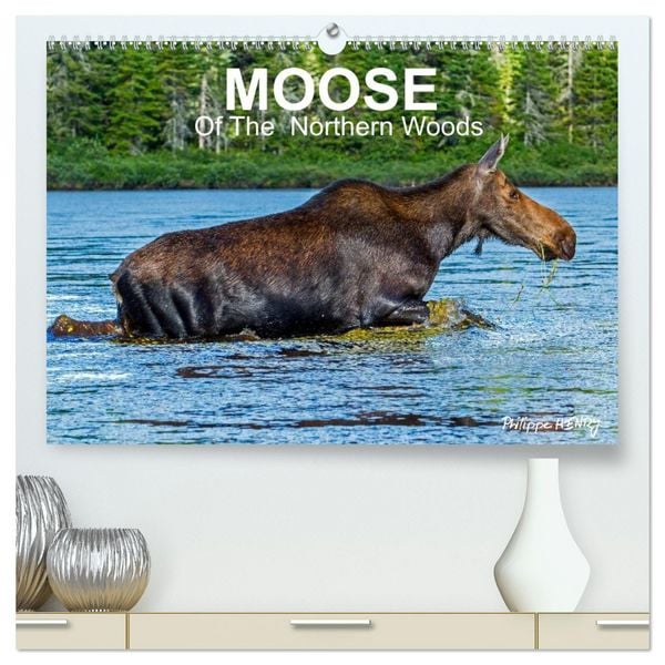Produktbild: MOOSE Of The Northern Woods (High Quality Premium Wall Calendar 2026 DIN A2 landscape),CALVENDO 12 Month Wall Calendar