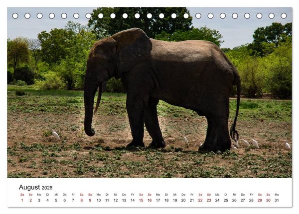 Produktbild: Eine Reise durch Ghana (Tischkalender 2026 DIN A5 quer), CALVENDO Monatskalender