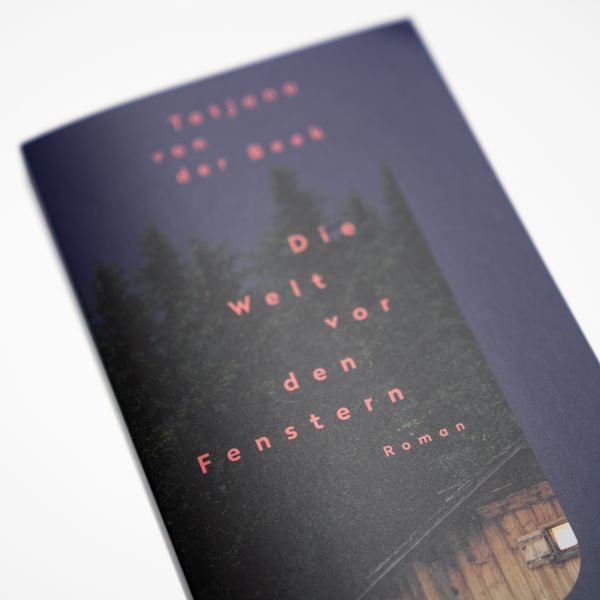 Produktbild: Die Welt vor den Fenstern
