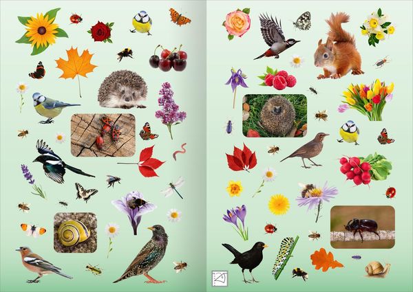 Produktbild: Naturforscher-Kids &ndash; Fotosticker Im Garten