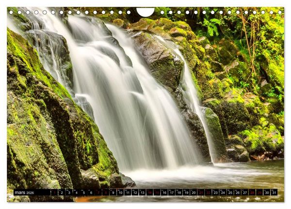 Produktbild: L'&eacute;t&eacute; dans les Vosges (Calendrier mural 2026 DIN A4 vertical), CALVENDO calendrier mensuel