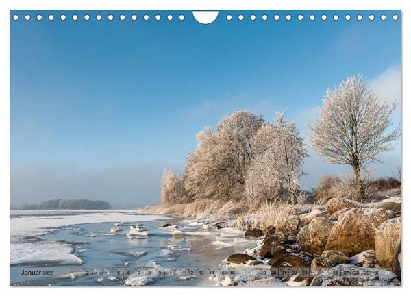 Produktbild: Meine Schlei 2026 (Wandkalender 2026 DIN A4 quer), CALVENDO Monatskalender