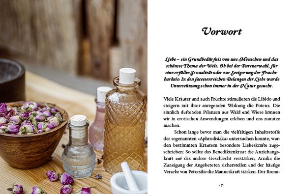 Produktbild: Das große kleine Buch: Liebeskräuter