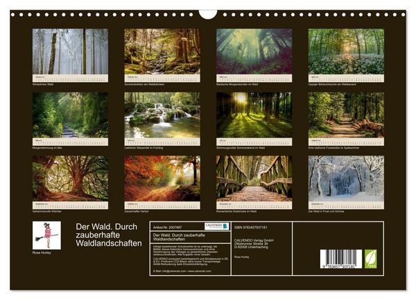Produktbild: Der Wald. Durch zauberhafte Waldlandschaften (Wandkalender 2026 DIN A3 quer), CALVENDO Monatskalender