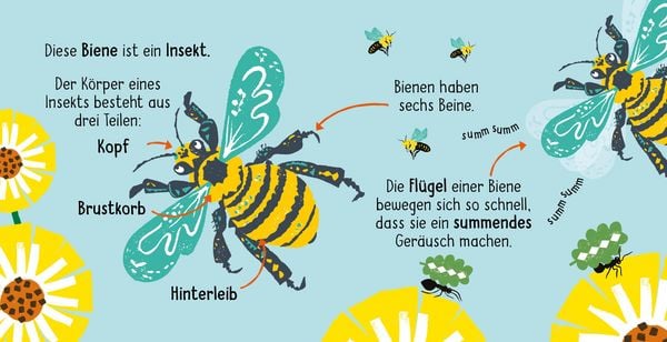 Produktbild: 50 W&ouml;rter &uuml;ber die Natur - Insekten