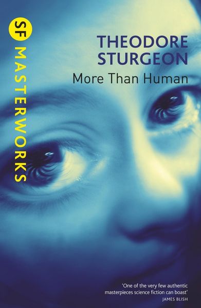 Produktbild: More Than Human