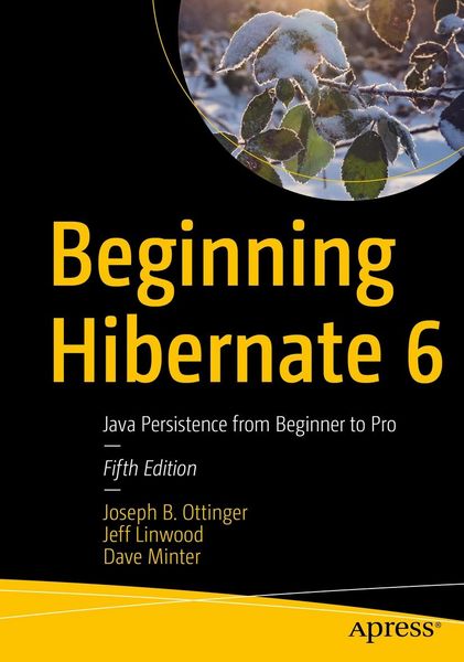Produktbild: Beginning Hibernate 6