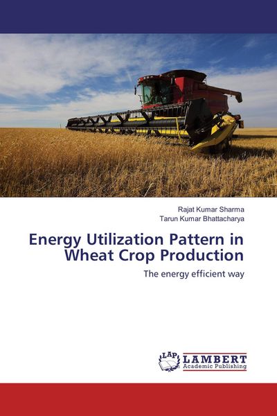 Produktbild: Energy Utilization Pattern in Wheat Crop Production