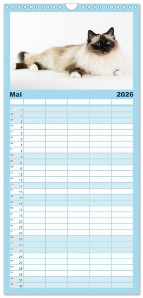 Produktbild: Familienplaner 2026 - Heilige Birma Katzen Kalender mit 5 Spalten (Wandkalender, 21 x 45 cm) CALVENDO