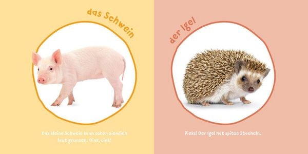 Produktbild: Baby Pixi (unkaputtbar) 183: Mein Baby-Pixi-Buggybuch: Meine ersten Tiere