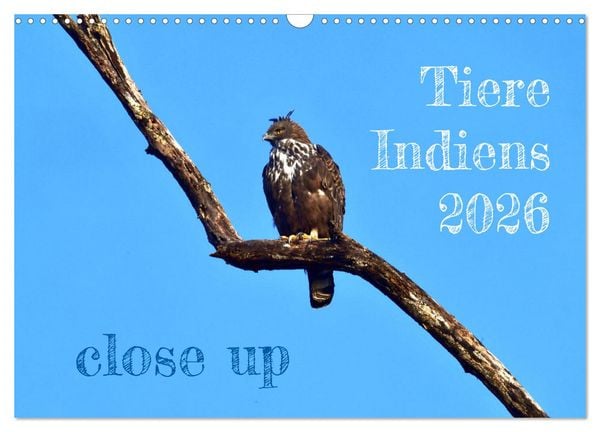 Produktbild: Tiere Indiens close up (Wandkalender 2026 DIN A3 quer), CALVENDO Monatskalender