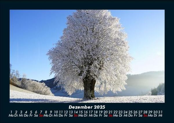 Produktbild: Landschaftskalender 2025 Fotokalender DIN A5