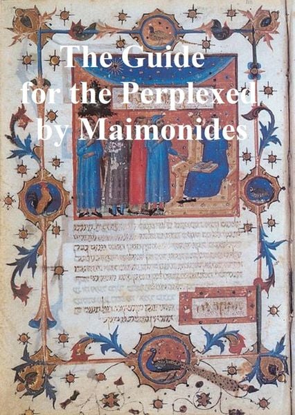 Produktbild: The Guide for the Perplexed