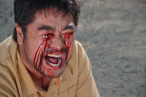 Produktbild: Blind Wolf
