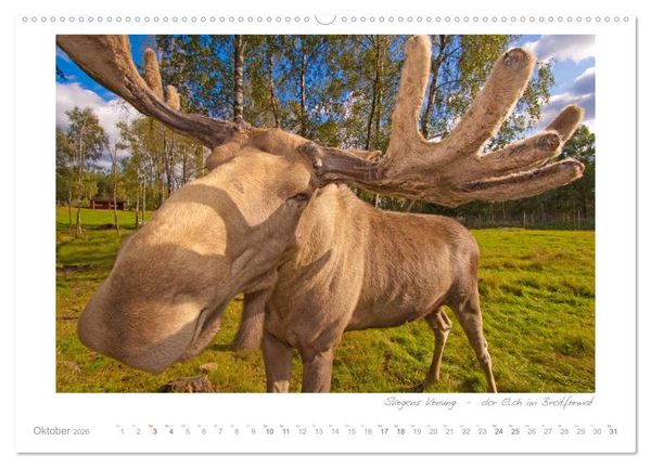 Produktbild: Sehnsucht Schweden - Sverige (hochwertiger Premium Wandkalender 2026 DIN A2 quer), Kunstdruck in Hochglanz