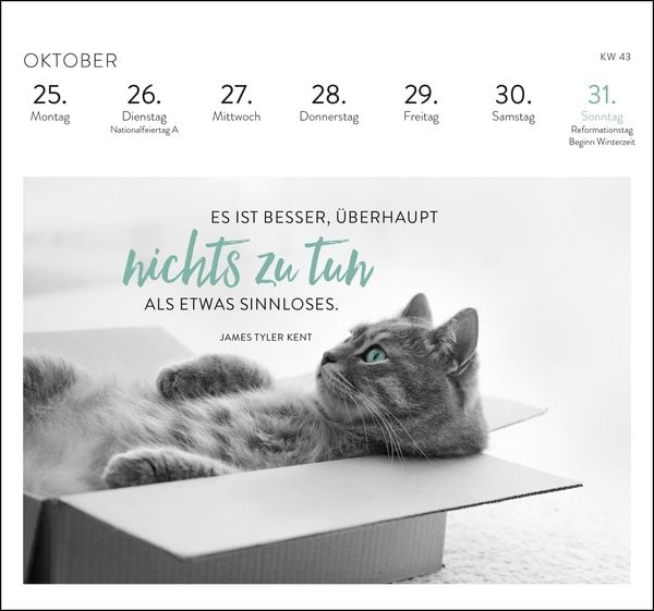 Produktbild: Postkartenkalender 2027: Inspirierende Worte f&uuml;r Katzenfreunde