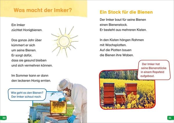 Produktbild: WAS IST WAS Erstes Lesen easy! Band 3. Wie lebt die Honigbiene?