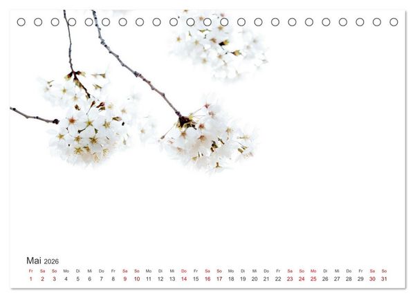 Produktbild: ZEN - Eine Reise zu sich selbst (Tischkalender 2026 DIN A5 quer), CALVENDO Monatskalender