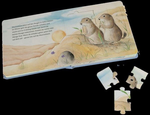 Produktbild: Erstaunliche Tiere - Mein Puzzlebuch