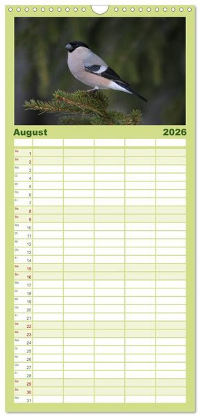 Produktbild: Familienplaner 2026 - Die farbenfrohe Welt der Finken mit 5 Spalten (Wandkalender, 21 x 45 cm) CALVENDO