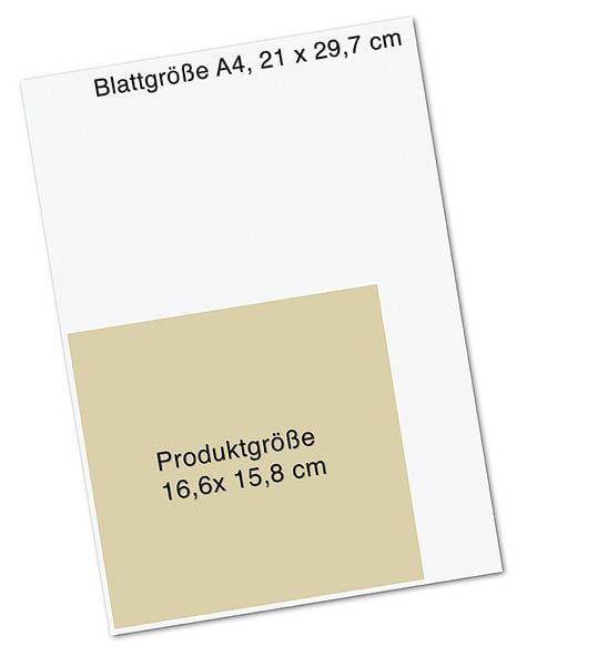 Produktbild: Der Wunschfisch. Geschenkbuch zur Erstkommunion