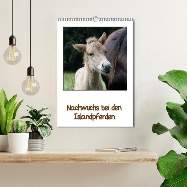 Produktbild: Nachwuchs bei den Islandpferden (Wandkalender 2026 DIN A3 hoch), CALVENDO Monatskalender