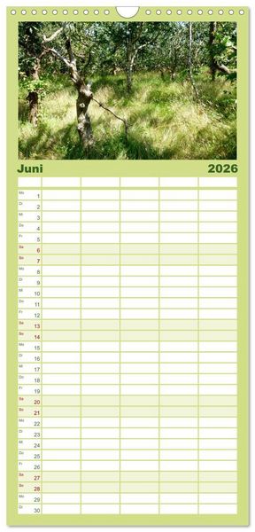 Produktbild: Familienplaner 2026 - T&ouml;werland Juist mit 5 Spalten (Wandkalender, 21 x 45 cm) CALVENDO