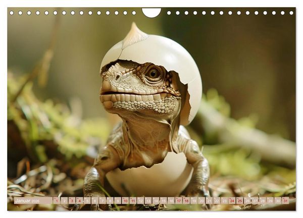 Produktbild: Dino-Babys (Wandkalender 2026 DIN A4 quer), CALVENDO Monatskalender