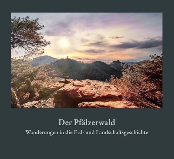 Produktbild: Der Pf&auml;lzerwald