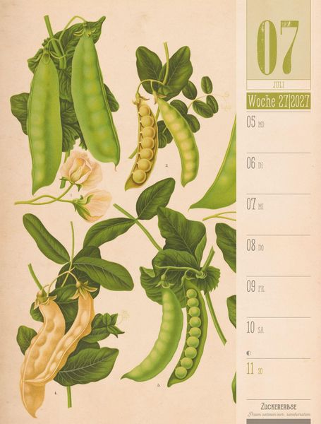 Produktbild: Culinarium Wochenplaner Kalender 2027 | K&uuml;che, Kr&auml;uter, Kurioses