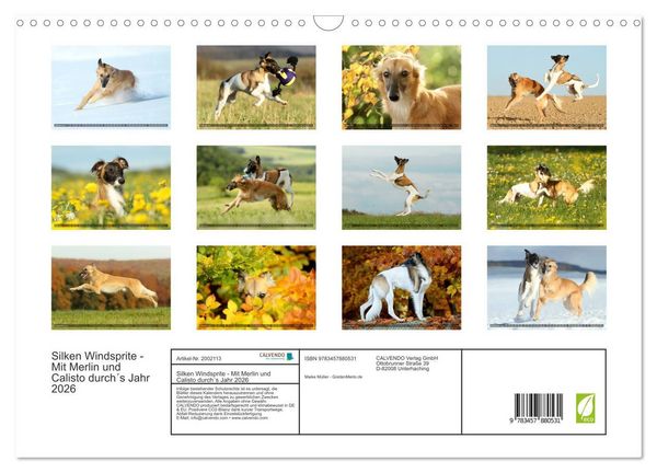 Produktbild: Silken Windsprite - Mit Merlin und Calisto durch&acute;s Jahr 2026 (Wandkalender 2026 DIN A3 quer), CALVENDO Monatskalender